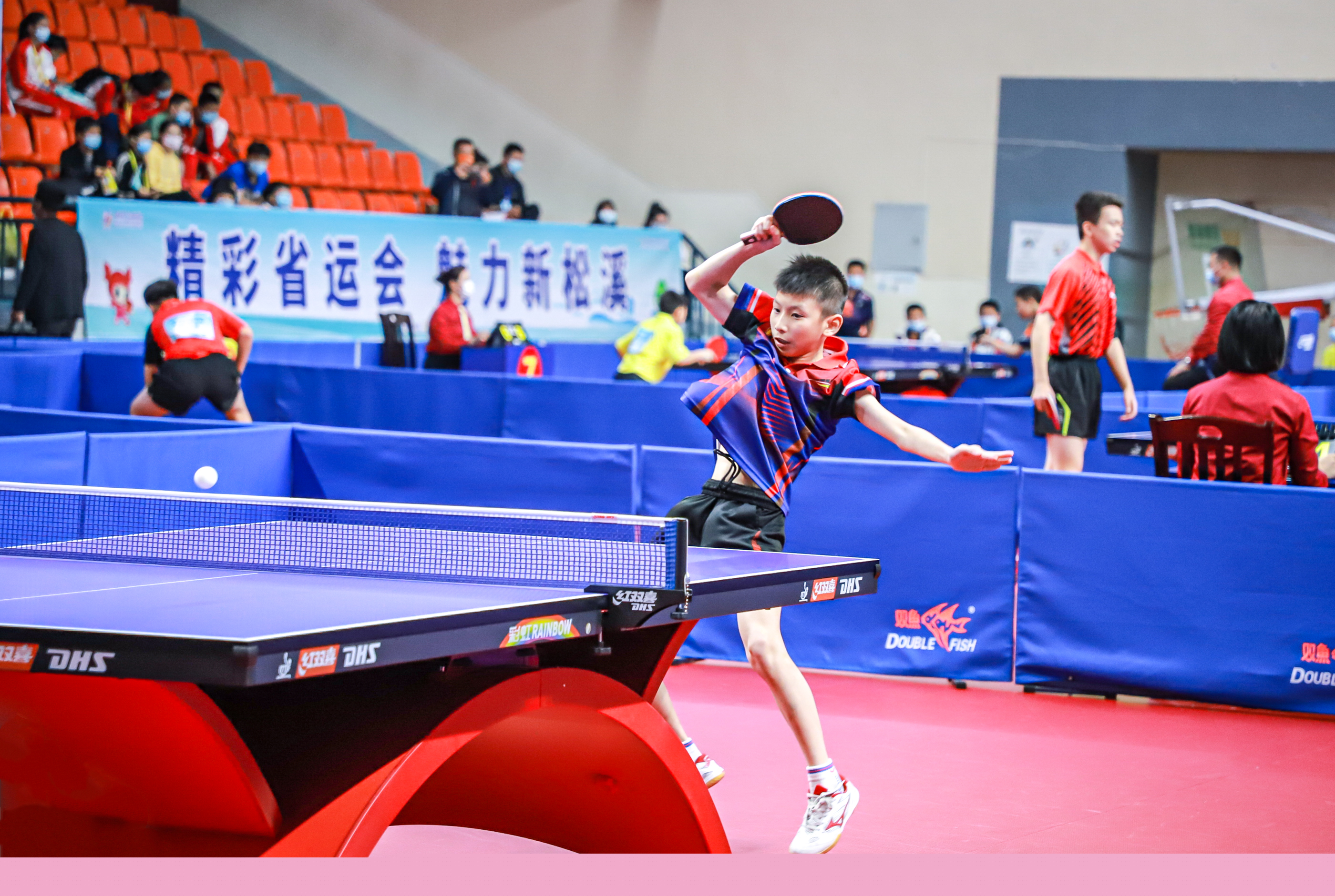 福布斯2024收入最高女运动员：谷爱凌第3，郑钦文第4九派新闻.