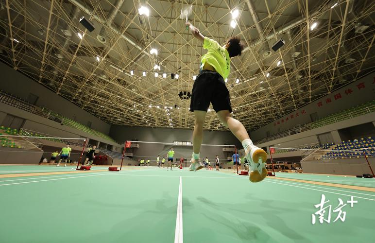 樊振东决定不参加澳门世界杯中新体育.