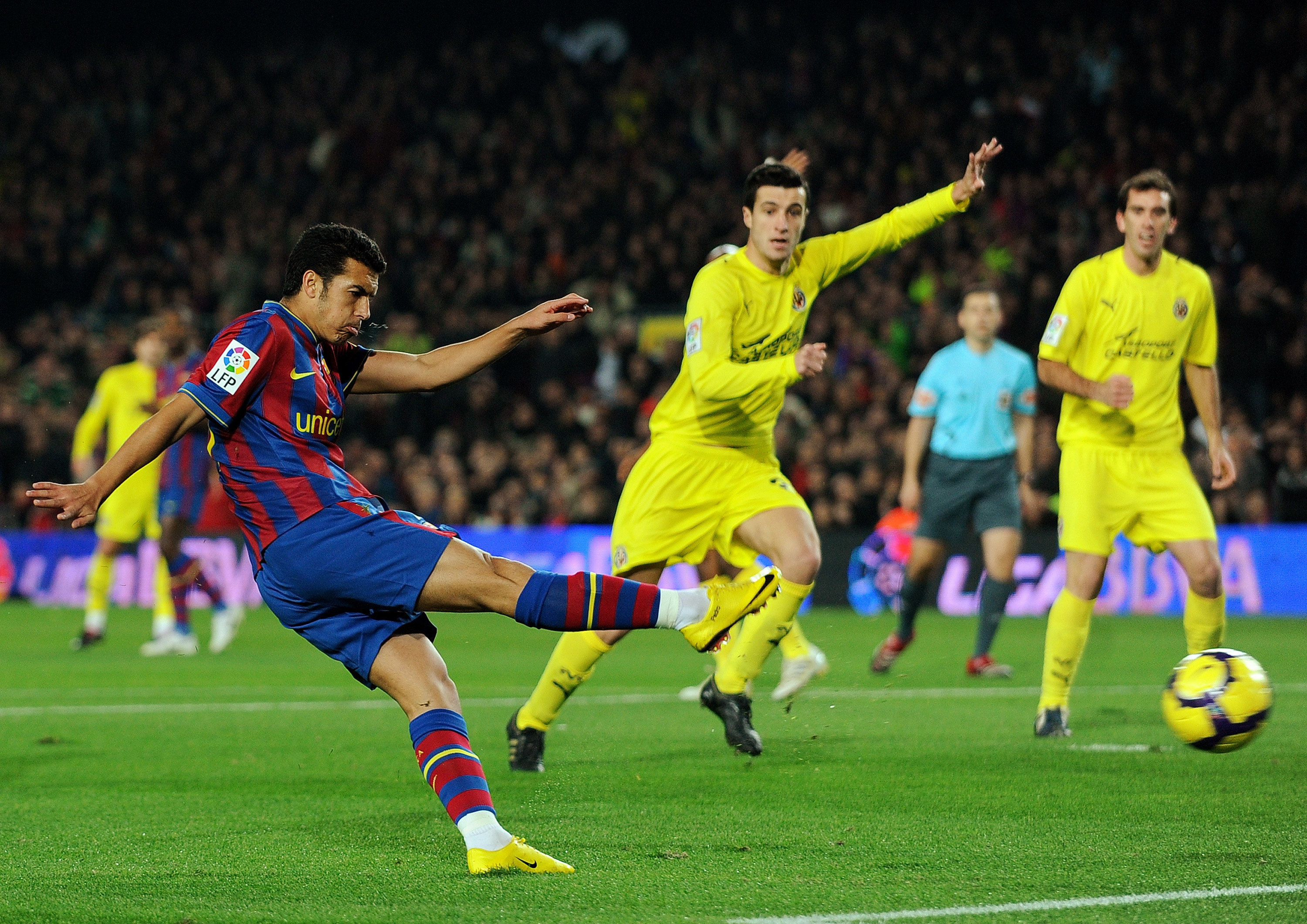 的角色不仅 的角色不仅