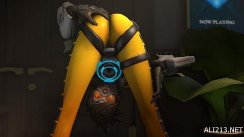 应属于自己 应属于自己